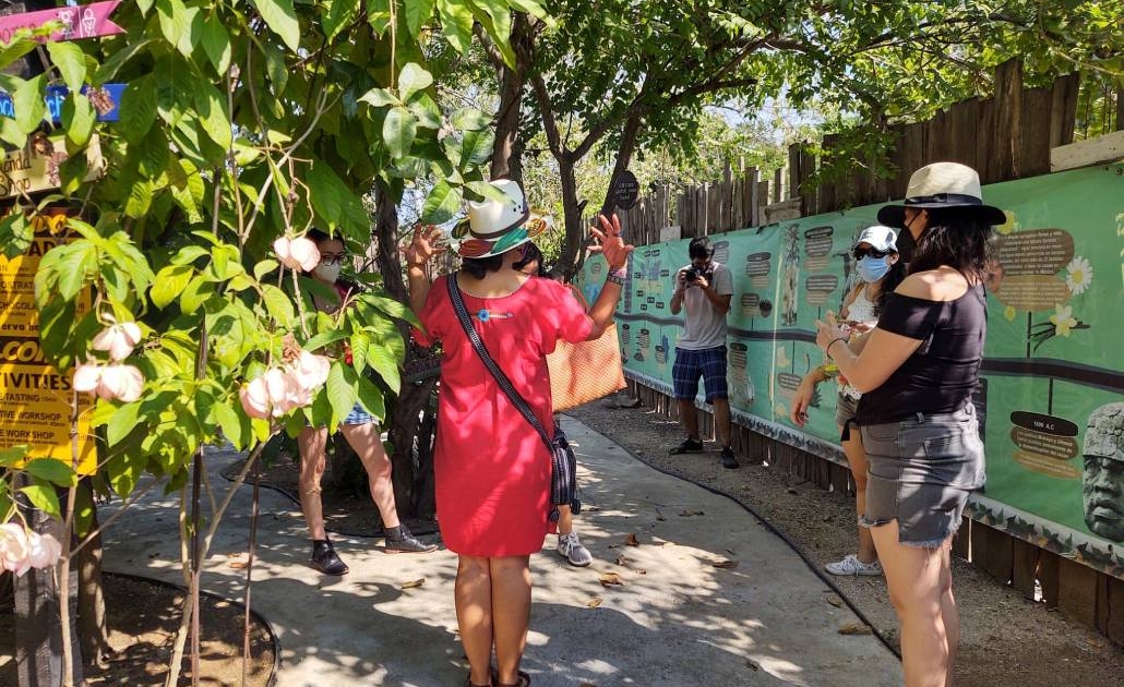 Planeta Cacao, mujer de espaldas, womans