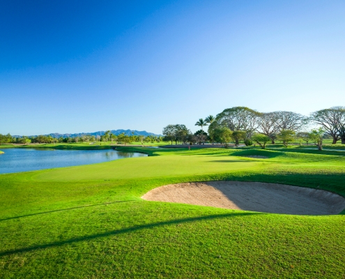 golf, golf course, grass in field